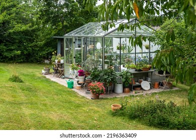 Beautiful greenhouse glass house in the garden yard near the villa. There are lots of pots with blooming blossom colorful flowers. Landscape garden design. Greenhouse for growing plant seedlings. - Powered by Shutterstock