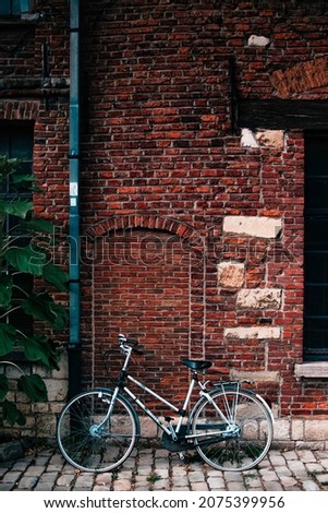 beautiful grey bicicle layed on a old red brick wall with some plants beside