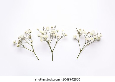 Beautiful gypsophila flowers on white background - Shutterstock ID 2049942836