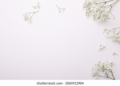 Baby breath flowers Images, Stock Photos & Vectors | Shutterstock