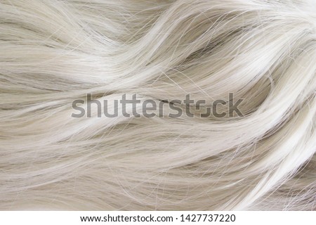 Beautiful hair. Long curly blonde hair. Color in light ash blonde. Stock photo © 