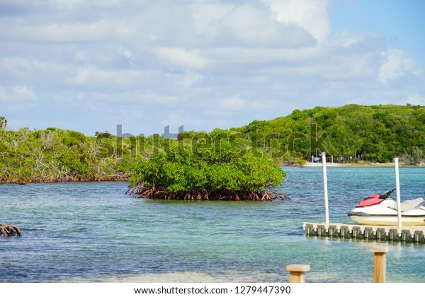 The beautiful Half Moon Bay island in Bahama and\
Caribbean sea ocean