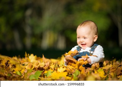 Beautiful Happy Baby In Autumn Nature - Sitting In Leaves