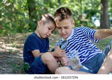 Beautiful happy children, boy brothers, exploring nature with magnifying glass
