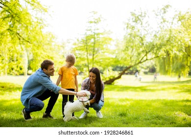 Beautiful Happy Family Is Having Fun With Bichon Dog Outdoors In The Park