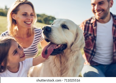 from family to family dog