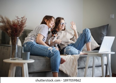 Beautiful happy lesbian couple sitting on sofa at home with pet dog bassengi online chatting using laptop - Powered by Shutterstock