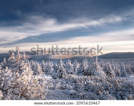 Beautiful harsh snow covered scenic landscape of a mountain range of Jeseniky mountains in late afternoon. Clouds,sky,sunlight. Spruce trees. 