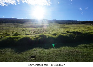 Beautiful Hawaii Maui Lavender Good