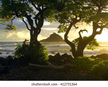 Beautiful Hawaiian Sunrise  With Island And Trees On Maui Shore - Landscape Color Photo