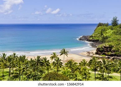 Beautiful Hawaiian White Sand Beach.