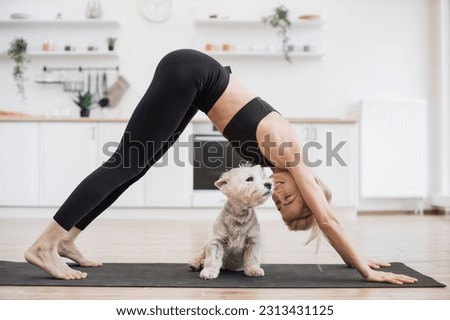 Beautiful healthy female in black sports clothes snuggling to white terrier while practising Adho Mukha Svanasana. Cute dog experiencing boost in bonding with owner during yoga session at home.