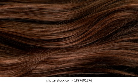 Beautiful Healthy Long Smooth Flowing Brown Hair.