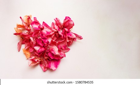 A beautiful heart of flower petals. The concept of love and eternity. Postcard to Valentine's Day and a declaration of love.