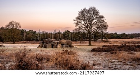 A beautiful heath landscape with dolmens and a large tree at drenthe, the Netherlands.