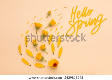 Beautiful hello spring collage, hello spring 
