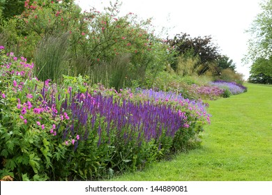 A Beautiful Herbaceous Border In England