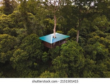 A Beautiful High Angle View Of A Treehouse In A Green Dense Forest