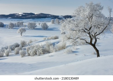 Beautiful highland snow scene