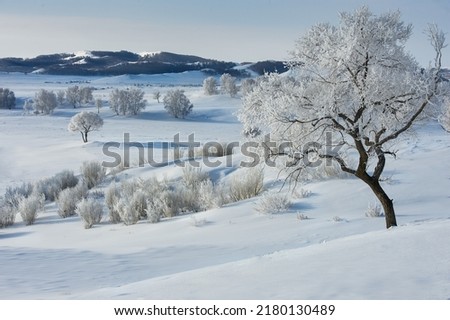 Beautiful highland snow scene