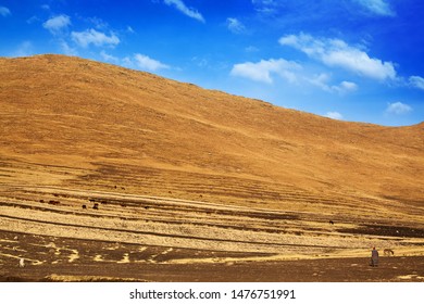 Beautiful highland valley landscape Drakensberg mountains, shepherd and animals herd on pasture, yellow slopes scenery panoramic view, bright blue sunny sky background, Lesotho, Southern Africa travel - Powered by Shutterstock