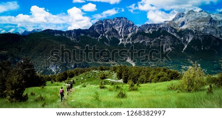 Similar – Image, Stock Photo wander Forest Peak Nature