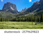 A Beautiful Hike in Green River Wyoming - Stunning Trees and Lake Landscape With a Beautiful Mountain Beauty in the Far Distance That Adds to the Stunning Landscape and Creates Stunning Photos