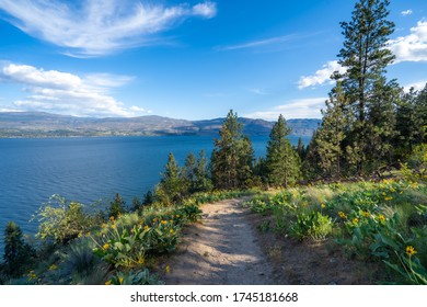 A Beautiful Hiking Trail Overlooking Okanagan Lake From Kalamoir Regional Park