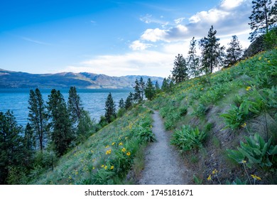 A Beautiful Hiking Trail Overlooking Okanagan Lake From Kalamoir Regional Park