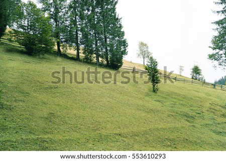 Similar – Blumenwiese, Nadelholzwald