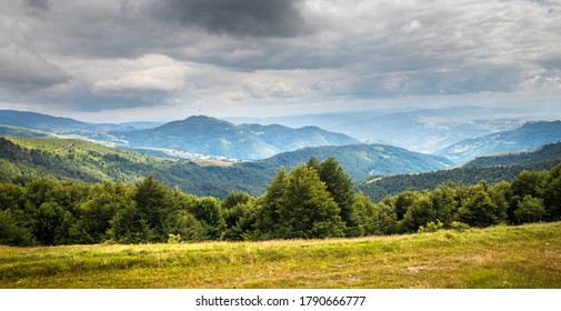 Beautiful hills, forest and meadows on Golija mountain in Serbia - Shutterstock ID 1790666777