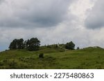 Beautiful hilly landscape - small saddle mountain with green grass and trees on a cloudy summer day and space to copy