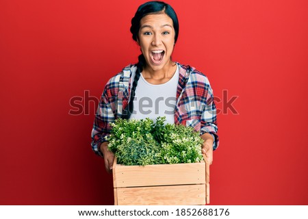 Beautiful hispanic woman holding wooden plant pot celebrating crazy and amazed for success with open eyes screaming excited. 