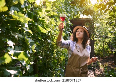 Beautiful Hispanic young woman in straw hat and apron, successful winemaker, viticulturist holding glass of wine and inspecting the homemade dry red wine on the rays of sun, standing in vineyards rows - Powered by Shutterstock