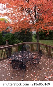 Beautiful Home Backyard Deck During Autumn With A Table And Chairs And Colorful Trees