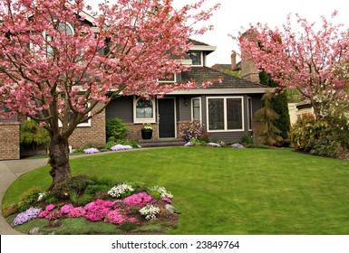 Beautiful home with blossoming cherry trees.