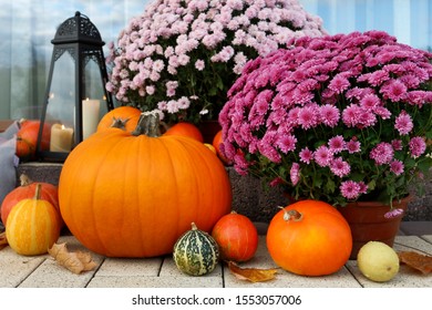 Beautiful home decoration with pumpkins, chrysanthemum flowers and candles. 