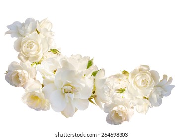 Beautiful  horizontal frame with bouquet of white roses with rain drops isolated on white background. Overhead view. - Shutterstock ID 264698303