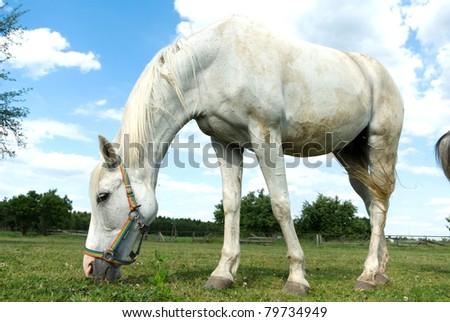 Similar – Image, Stock Photo Moldy Environment Nature