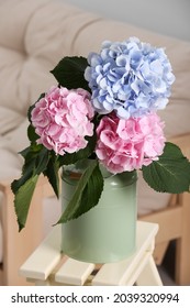 Beautiful Hortensia Flowers In Can On Stand Indoors