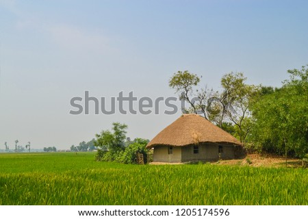 beautiful house of Indian village