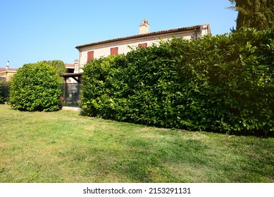 Beautiful House Surrounded By Green Shrubbery On Sunny Day