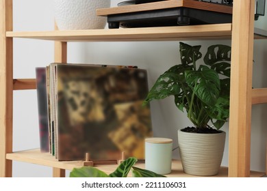 Beautiful Houseplant And Vinyl Records On Wooden Shelving Unit Near Light Wall