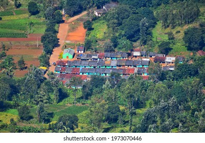 A Beautiful Houses Of Tribal Community In Deomali,Orissa,India