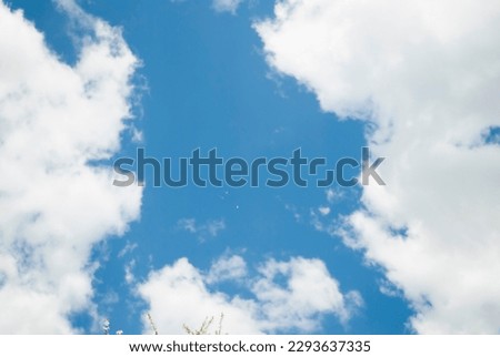 Beautiful huge soft clouds formation in clear blue sky. Large fluffy beauty cumulonimbus cloud high up at sun light day