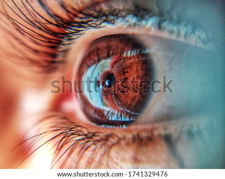 Similar – eye droplets Eyes Eyelash