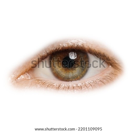 Beautiful human eye isolated on white, closeup