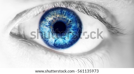 beautiful human eye, macro, close up  blue, yellow, brown, 