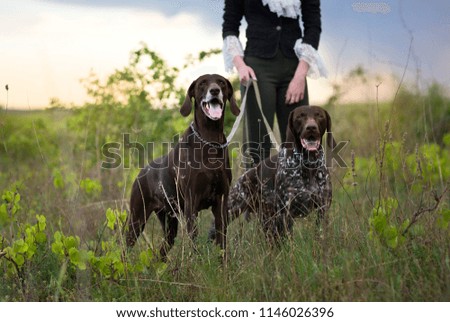 Similar – Image, Stock Photo Attractive womanon a rural path with dogs at sunset