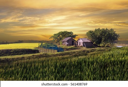 beautiful hut in the village of bangladesh